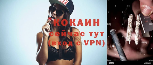 дживик Галич
